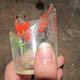 Illustration for article titled Hey, internet. Wanna see me eat GLASS?!?
